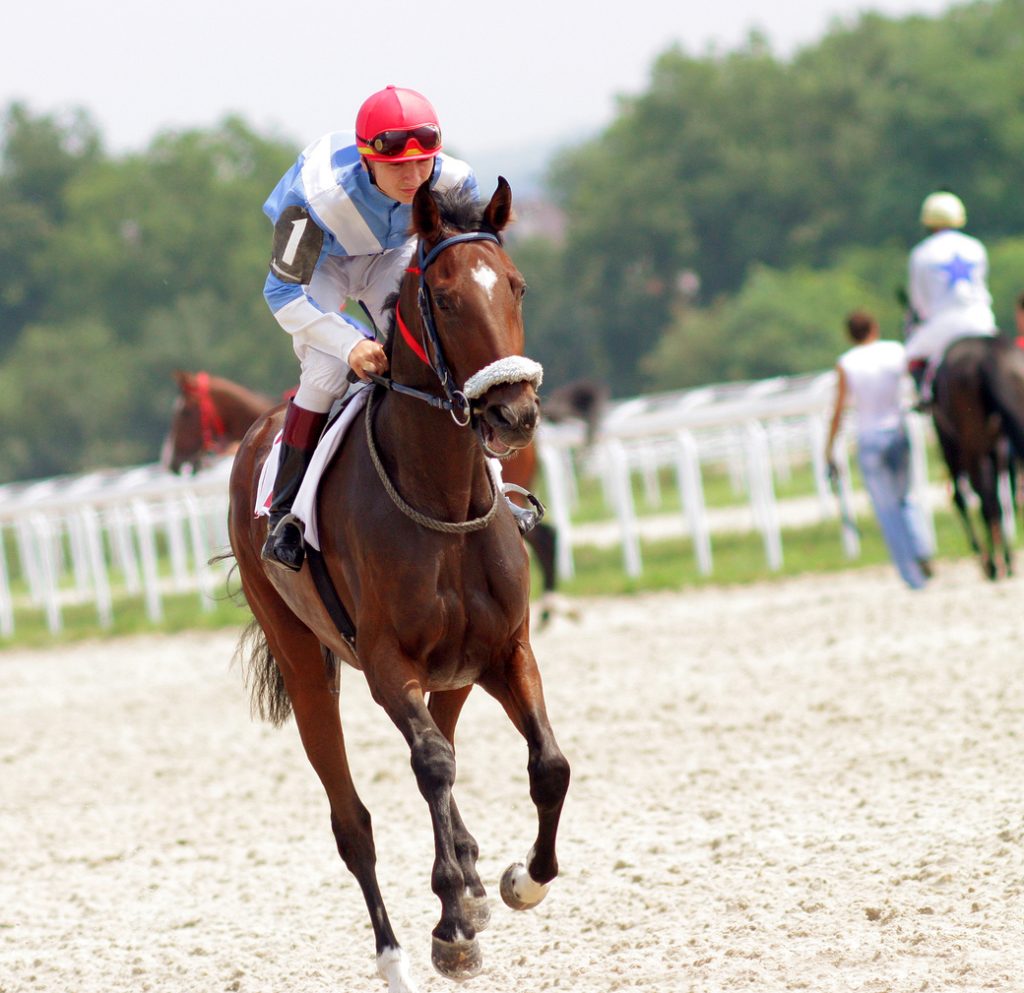 Winterthur Point to Point and Willowdale Steeplchase