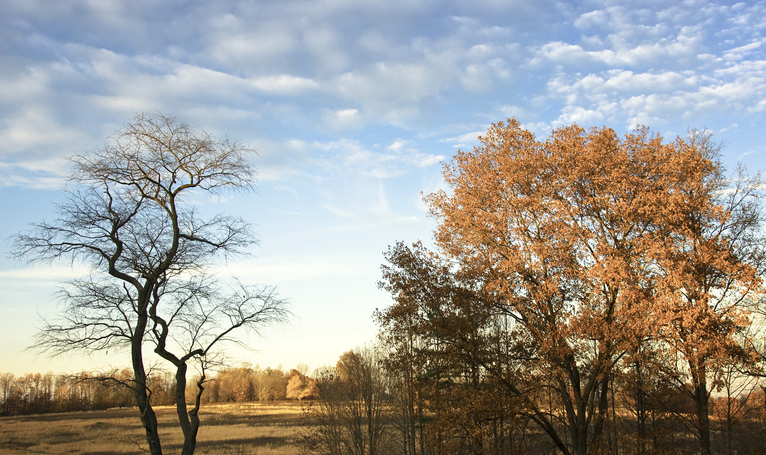 Brandywine Valley Fall Happenings